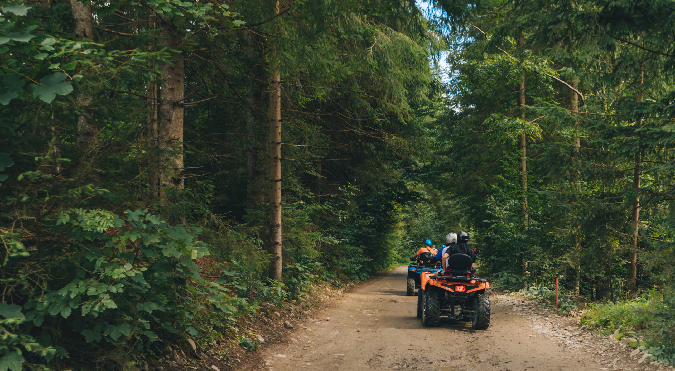 People riding down a trail in ATVs in a forest.